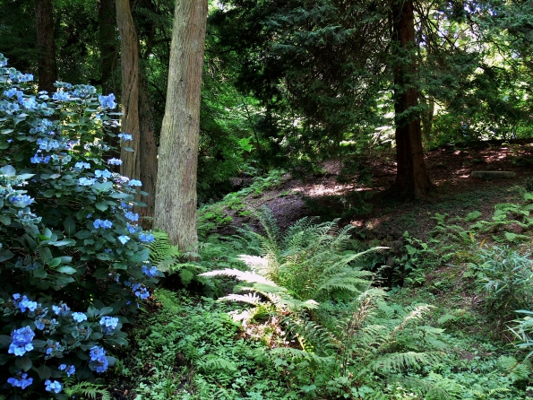 Bois des Moutiers  (76) Summer 2012